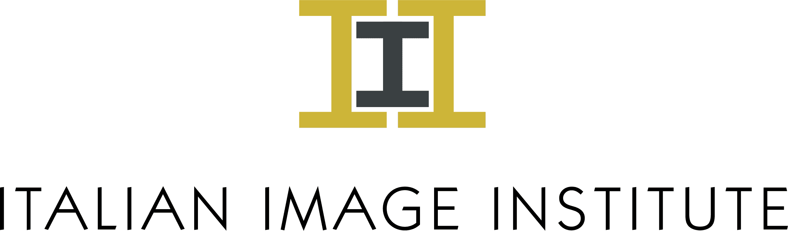 Italian Image Institute